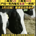 一孩1万二孩5万三孩10万-彩票论坛-彩票技巧策略