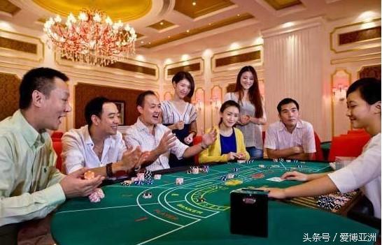 白菜论坛社区经验交流：提高博彩成功率的秘籍-彩票论坛-彩票技巧策略